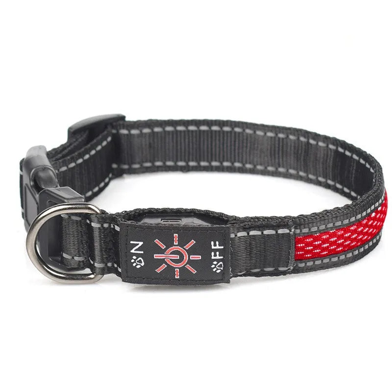 LED Dog Collar