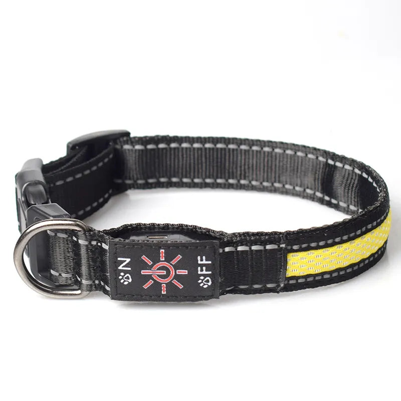 LED Dog Collar