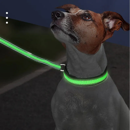 LED Dog Collar