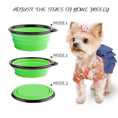 Collapsible Pet Travel Bowl