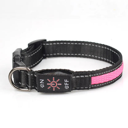 LED Dog Collar