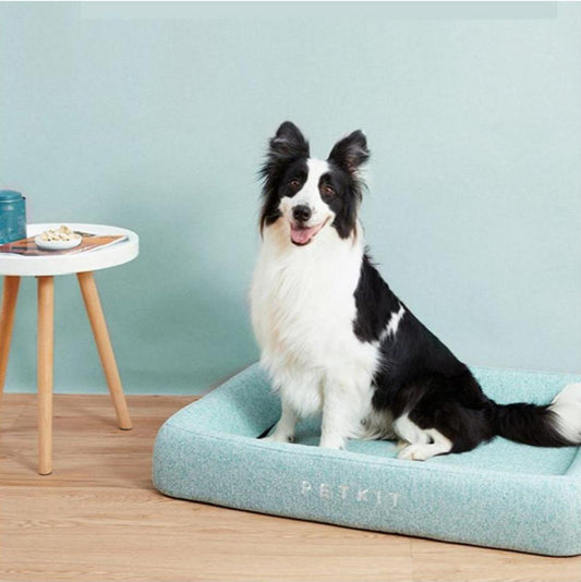 Orthopedic Memory Foam Pet Bed