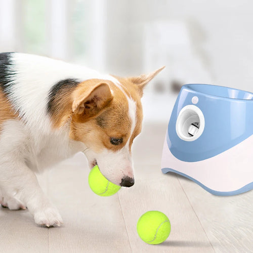 Automatic Dog Fetch Machine