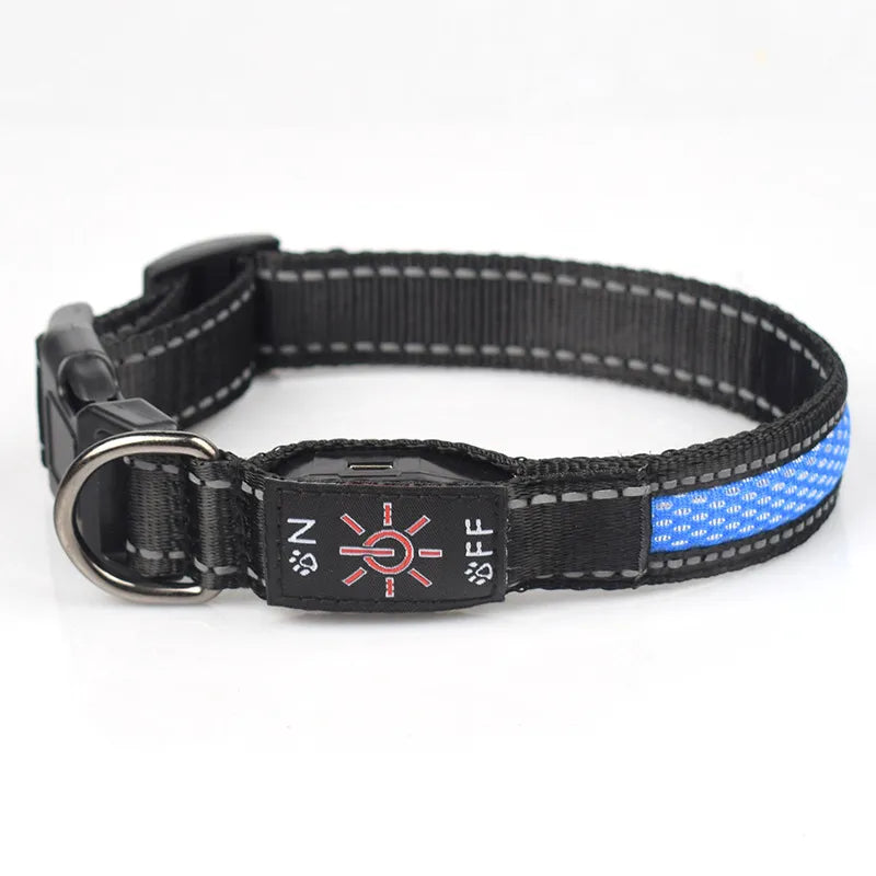 LED Dog Collar