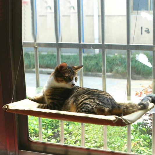 Cat Window Perch