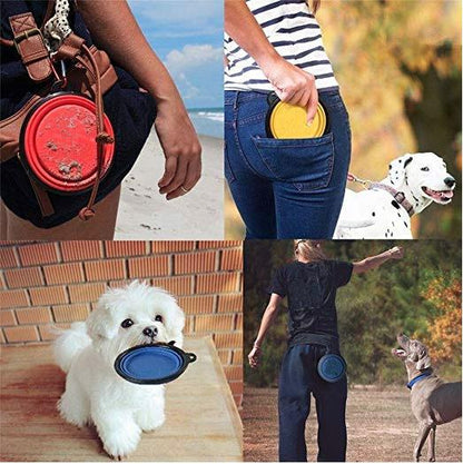 Collapsible Pet Travel Bowl