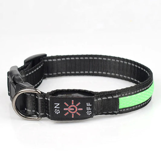 LED Dog Collar